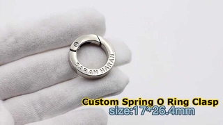 Aangepaste metalen veer O-ring 10001