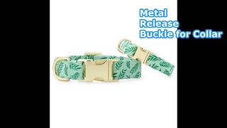 Gold Pet Collar Hardware Buckle 16mm Quick Release Collar Buckle for Pet Accessories