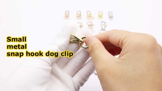 Small Metal Snap hook Clip